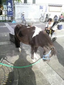 あやこ☆先生のハッピー♪ラッキー♪大好き~♪