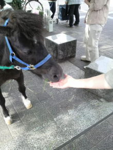 あやこ☆先生のハッピー♪ラッキー♪大好き~♪