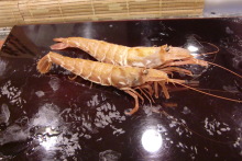 あやこ☆先生のハッピー♪ラッキー♪大好き～♪