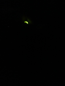 あやこ☆先生のハッピー♪ラッキー♪大好き～♪