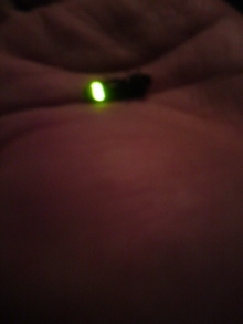 あやこ☆先生のハッピー♪ラッキー♪大好き～♪