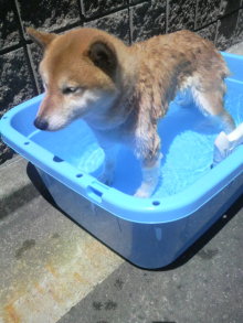 あやこ☆先生のハッピー♪ラッキー♪大好き～♪