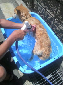 あやこ☆先生のハッピー♪ラッキー♪大好き～♪