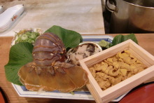 あやこ☆先生のハッピー♪ラッキー♪大好き～♪