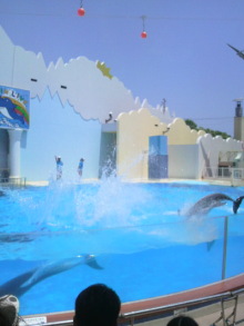 あやこ☆先生のハッピー♪ラッキー♪大好き～♪