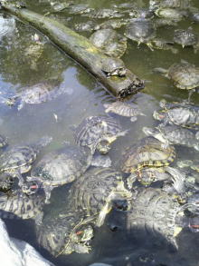あやこ☆先生のハッピー♪ラッキー♪大好き～♪