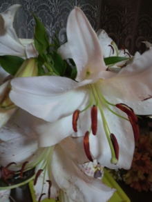 あやこ☆先生のハッピー♪ラッキー♪大好き～♪