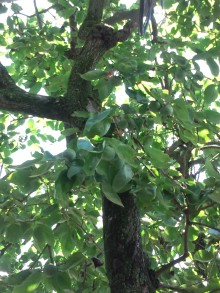 あやこ☆先生のハッピー♪ラッキー♪大好き～♪