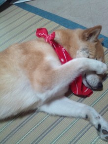 あやこ☆先生のハッピー♪ラッキー♪大好き～♪