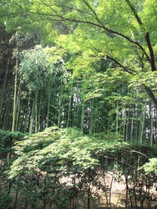 あやこ☆先生のハッピー♪ラッキー♪大好き～♪