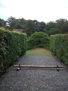 あやこ☆先生のハッピー♪ラッキー♪大好き～♪