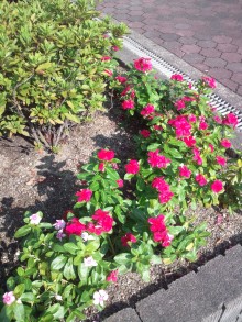 あやこ☆先生のハッピー♪ラッキー♪大好き～♪