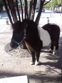 あやこ☆先生のハッピー♪ラッキー♪大好き～♪