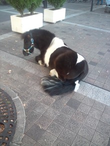 あやこ☆先生のハッピー♪ラッキー♪大好き～♪