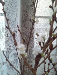 あやこ☆先生のハッピー♪ラッキー♪大好き～♪