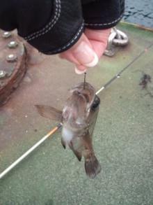 森川　あやこの☆ハッピー♪ラッキー♪大好き～♪