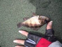 森川　あやこの☆ハッピー♪ラッキー♪大好き～♪