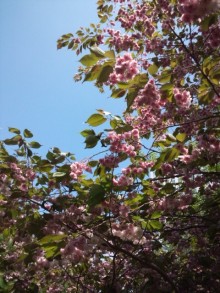 森川　あやこの☆ハッピー♪ラッキー♪大好き～♪