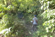 森川　あやこの☆ハッピー♪ラッキー♪大好き～♪