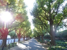 森川 あやこの☆ハッピー♪ラッキー♪大好き~♪