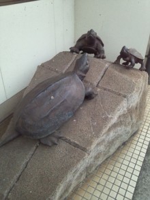 森川　あやこの☆ハッピー♪ラッキー♪大好き～♪