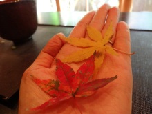 森川　あやこの☆ハッピー♪ラッキー♪大好き～♪