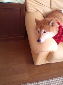 森川　あやこの☆ハッピー♪ラッキー♪大好き～♪