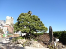 森川 あやこの☆ハッピー♪ラッキー♪大好き~♪