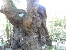 森川 あやこの☆ハッピー♪ラッキー♪大好き~♪