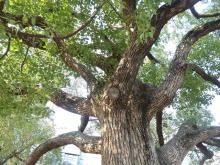 森川　あやこの☆ハッピー♪ラッキー♪大好き～♪