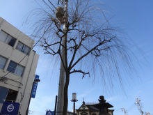 森川 あやこの☆ハッピー♪ラッキー♪大好き~♪