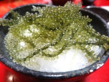 森川 あやこの☆ハッピー♪ラッキー♪大好き~♪