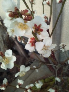 森川　あやこの☆ハッピー♪ラッキー♪大好き～♪