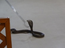 森川　あやこの☆ハッピー♪ラッキー♪大好き～♪