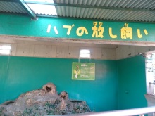 森川　あやこの☆ハッピー♪ラッキー♪大好き～♪