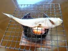 森川　あやこの☆ハッピー♪ラッキー♪大好き～♪