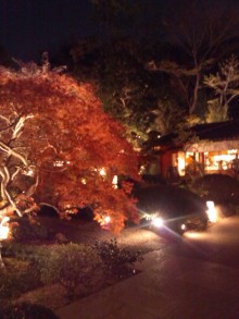 森川 あやこの☆ハッピー♪ラッキー♪大好き~♪