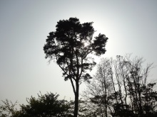 森川　あやこの☆ハッピー♪ラッキー♪大好き～♪