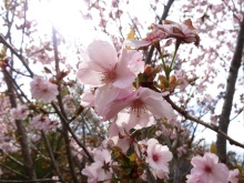 森川　あやこの☆ハッピー♪ラッキー♪大好き～♪