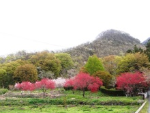 森川　あやこの☆ハッピー♪ラッキー♪大好き～♪
