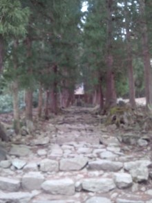 森川　あやこの☆ハッピー♪ラッキー♪大好き～♪