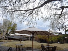 森川　あやこの☆ハッピー♪ラッキー♪大好き～♪