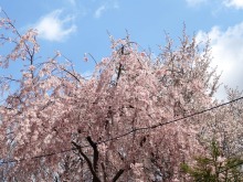 森川　あやこの☆ハッピー♪ラッキー♪大好き～♪