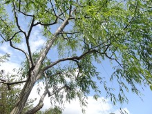 森川　あやこの☆ハッピー♪ラッキー♪大好き～♪