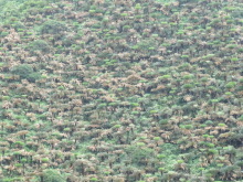 森川 あやこの☆ハッピー♪ラッキー♪大好き~♪