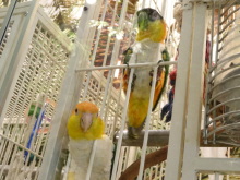 森川　あやこの☆ハッピー♪ラッキー♪大好き～♪