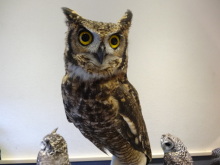 森川　あやこの☆ハッピー♪ラッキー♪大好き～♪