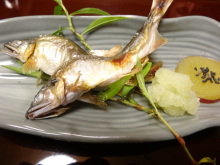 森川　あやこの☆ハッピー♪ラッキー♪大好き～♪