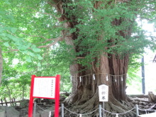 森川　あやこの☆ハッピー♪ラッキー♪大好き～♪