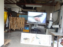 森川　あやこの☆ハッピー♪ラッキー♪大好き～♪